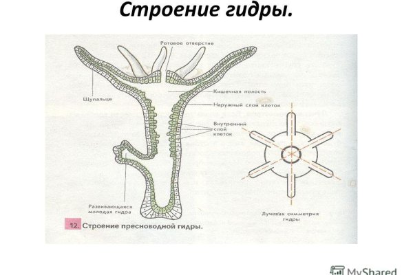 Ссылки онион