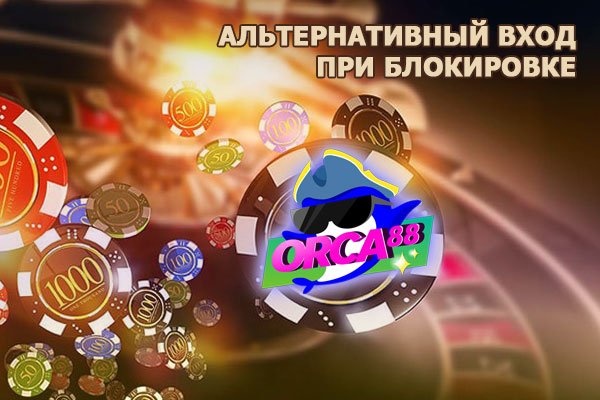 Через какой браузер можно зайти на кракен