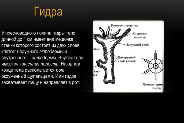 Кракен зеркало сегодня