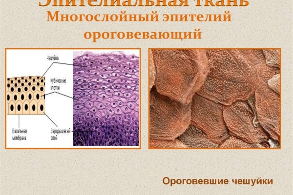 Ссылка на кракен тор магазин