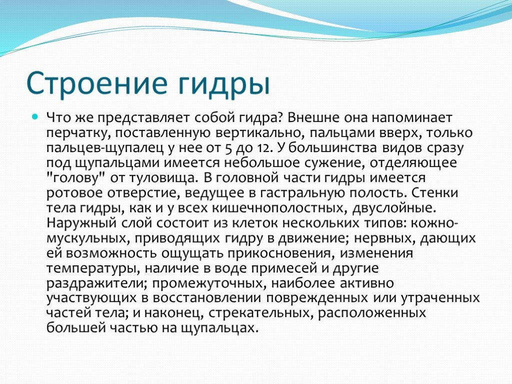 Кракен сайт 16